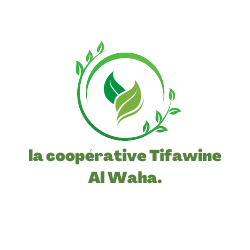 La coopérative Tifawine Al Waha